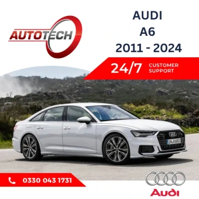 Audi A6 Mileage Blocker