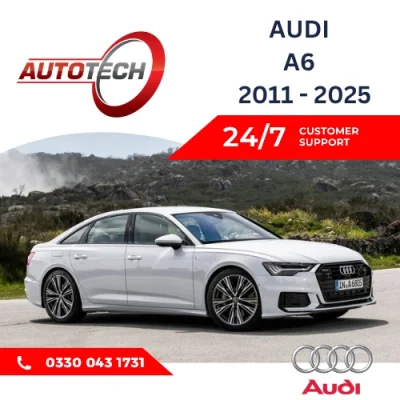 Audi A6 Mileage Blocker