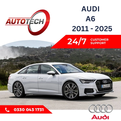 Audi A6 Mileage Blocker
