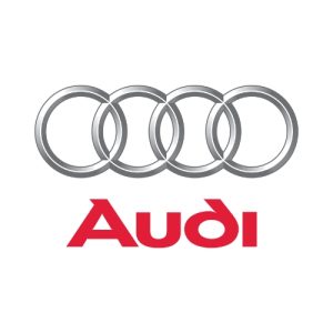 Audi mileage blockers
