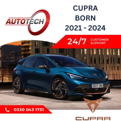 Cupra Born Mileage Blocker