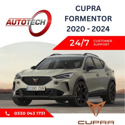 Cupra Formentor Mileage Blocker