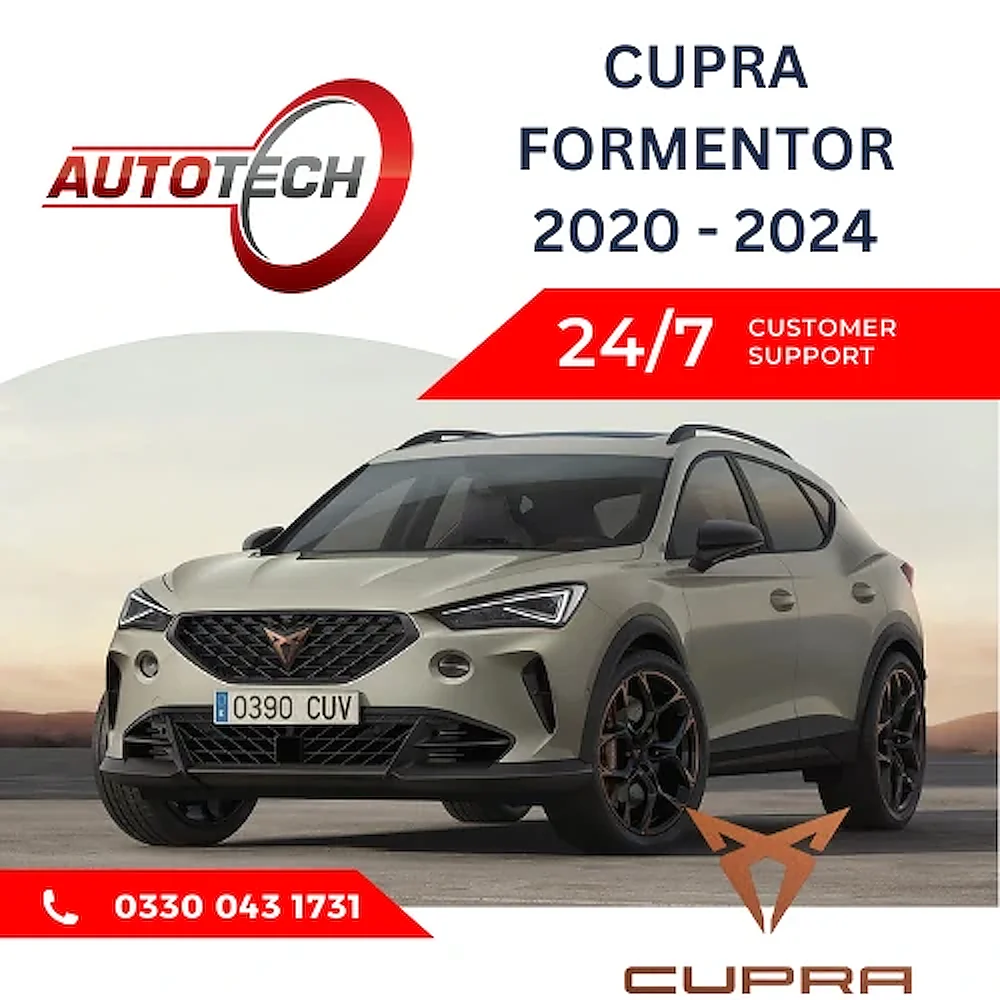 Cupra Formentor Mileage Blocker
