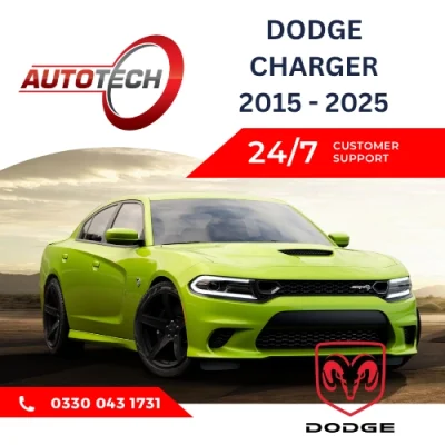 Dodge Charger Mileage Blocker