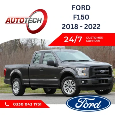 Ford F150 Mileage Blocker