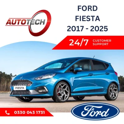 Ford Fiesta Mileage Blocker