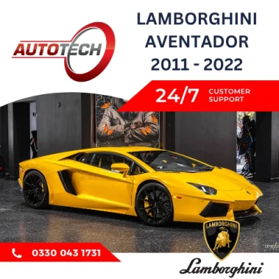 Lamborghini Aventador Mileage Blocker