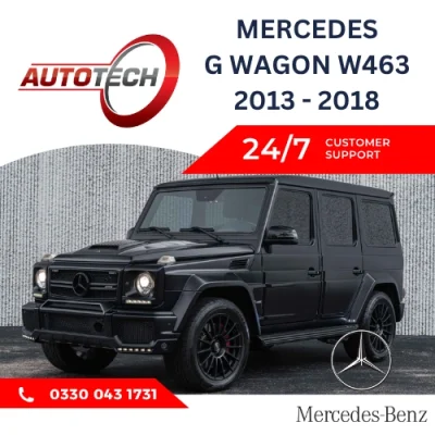 Mercedes G Wagon W463 Mileage Blocker