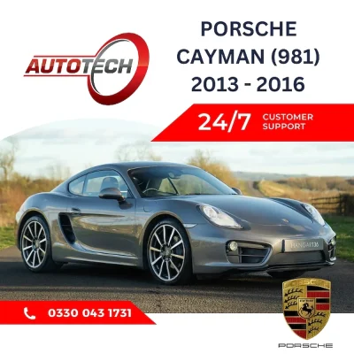 Porsche Cayman (981) Mileage Blocker 2013 - 2016