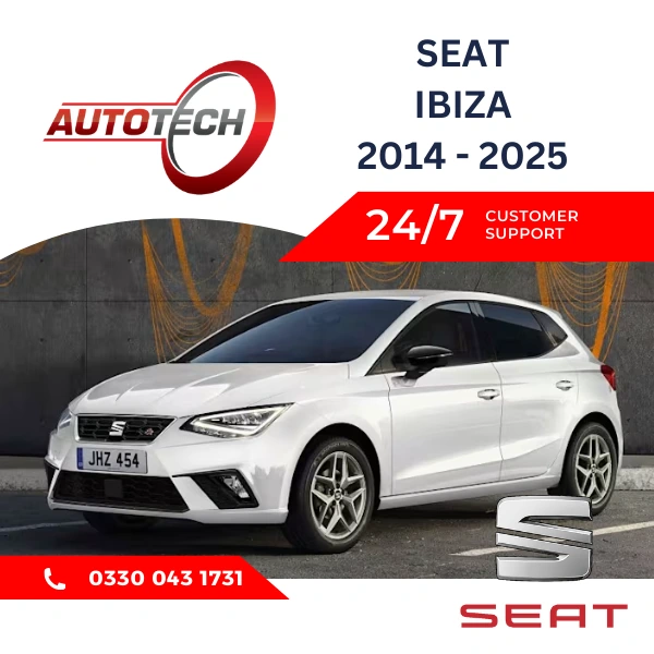 Seat Ibiza Mileage Blocker