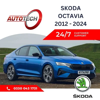 Skoda Octavia Mileage Blocker