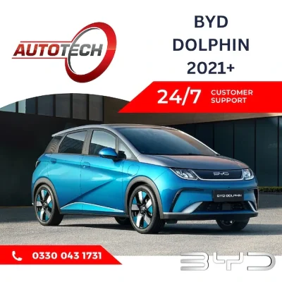BYD Dolphin Mileage Blocker