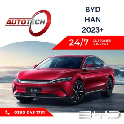BYD Han Mileage Blocker