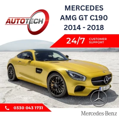 Mercedes AMG GT C190 Mileage Blocker