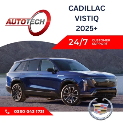 Cadillac Vistiq Mileage Blocker