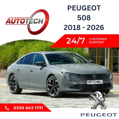 Peugeot 508 Mileage Blocker